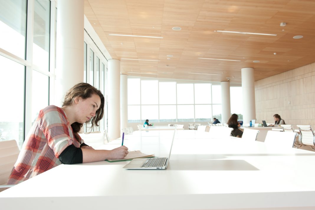 Essay writing service image