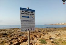 Judge confirms Torrevieja canine beach Judge confirms Torrevieja canine beach