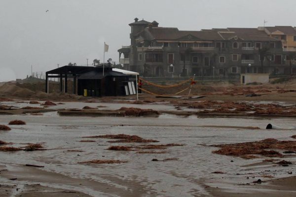 Chirungitos are being swept out to sea on the La Zenia beach