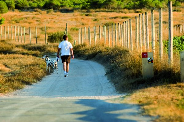 The Green Road, formerly the route of the railway