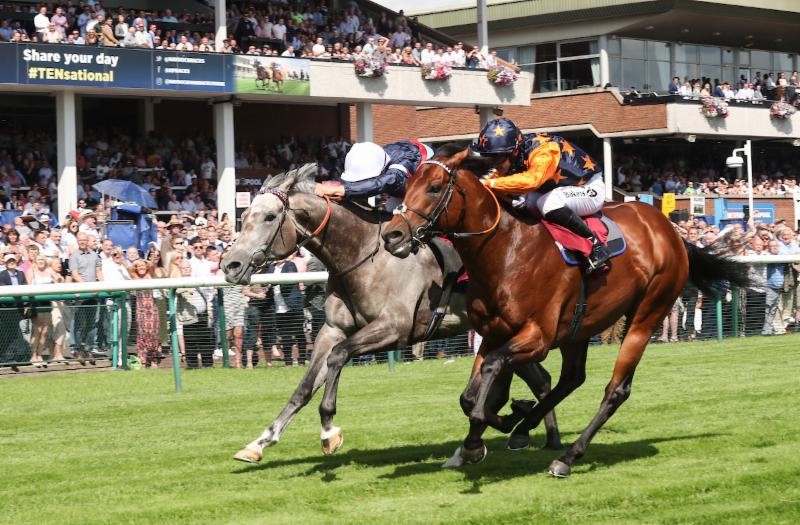 Kachy and Calyx target major G2 sprint at Haydock