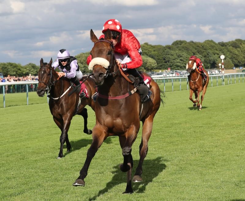 Mabs Cross in action at Haydock Park