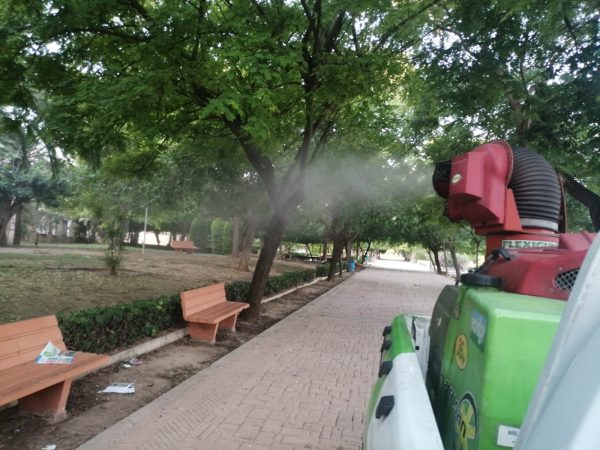 Torrevieja attempts to contain plagues of mosquitoes