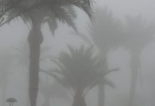 SAMM RACING HIT BY PROBLEMS SAMM RACING HIT BY PROBLEMS