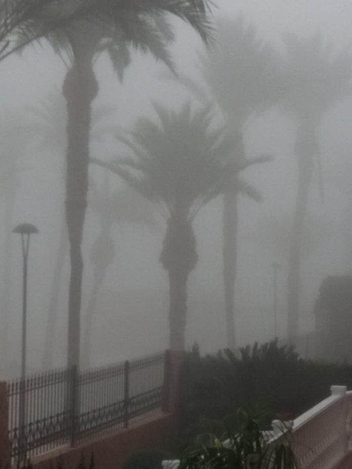 Fog Pic SAMM RACING HIT BY PROBLEMS