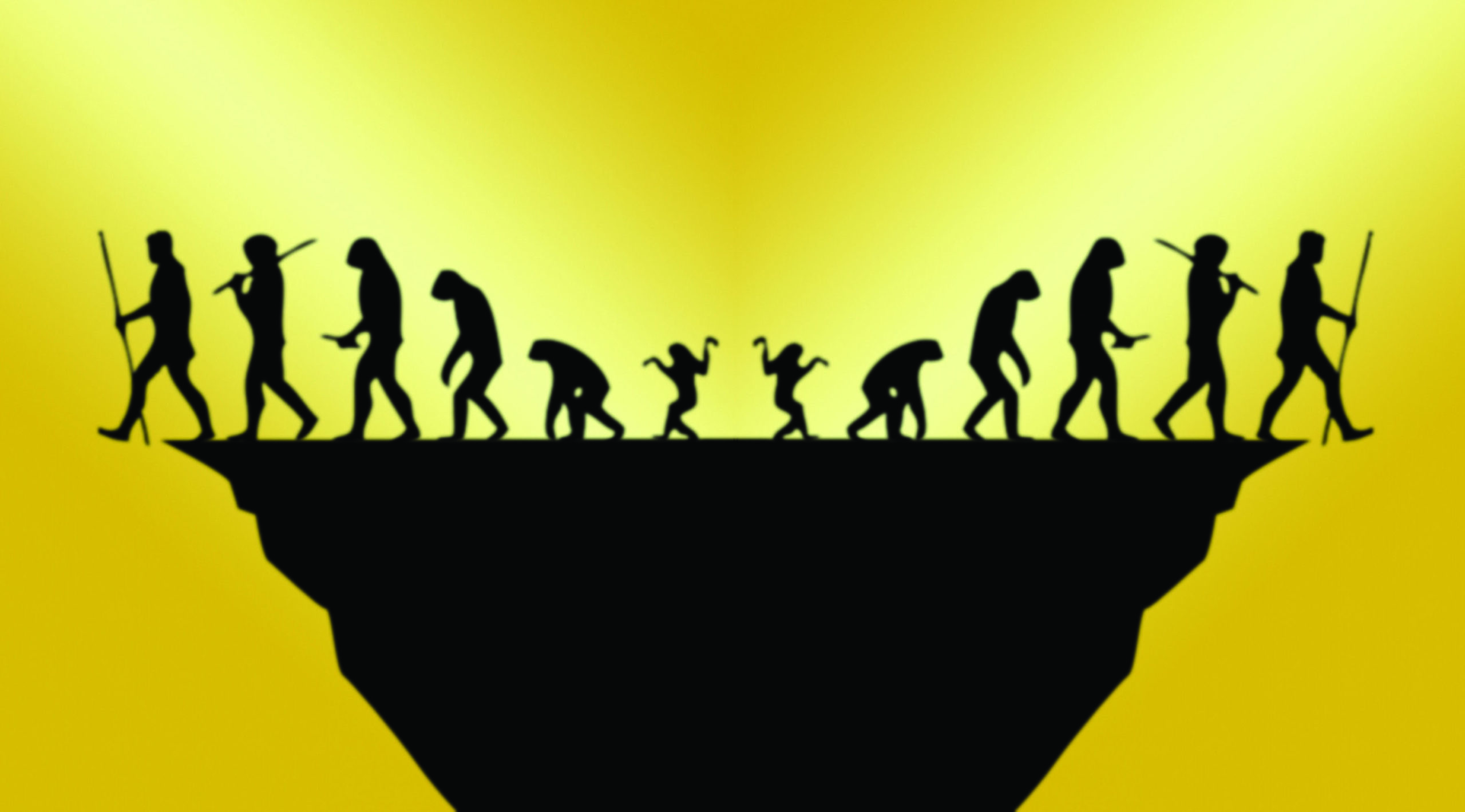 The darwin awards are a collection of stories of those that have given the best their dna can offer to the gene pool. Darwin Award Trophy . Dying To Make The Stupidity Awards The Leader Newspaper