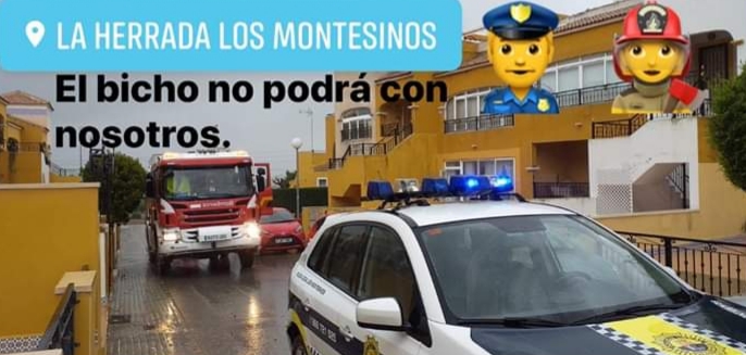 Police and fire brigade services rescued an elderly lady on La Herrada, Los Montesinos.