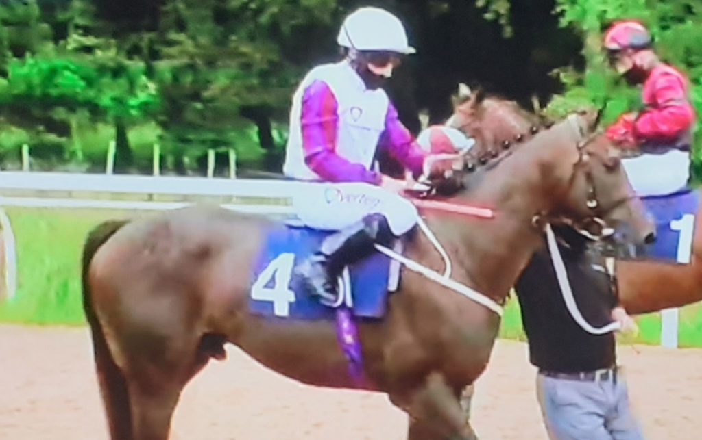 Mark Johnston trained Toussarok (purple sleeves) 5-4f entering the stalls ahead of winning at Newcastle.