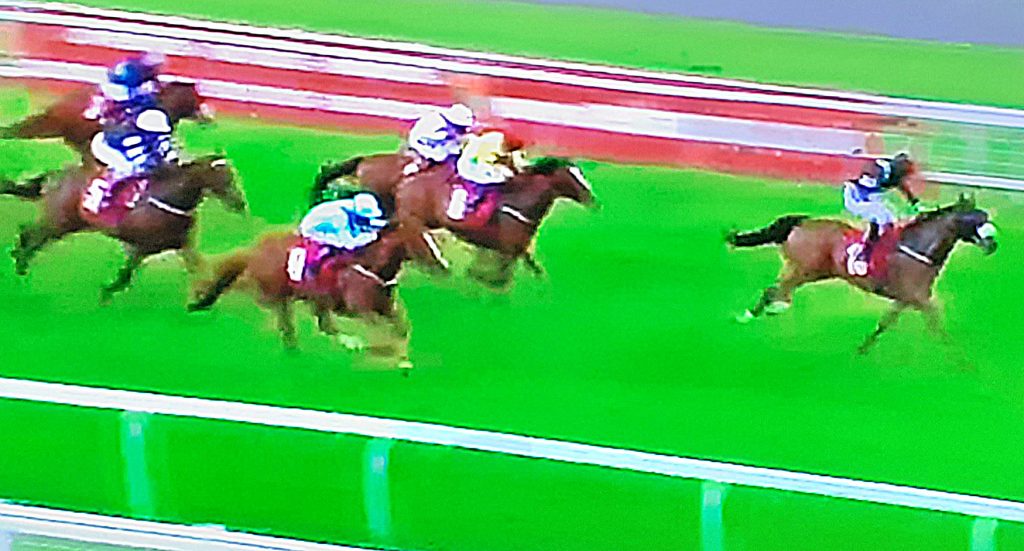 Star Shield (blue silks) ran on to finish second behind Gallipoli at Redcar.