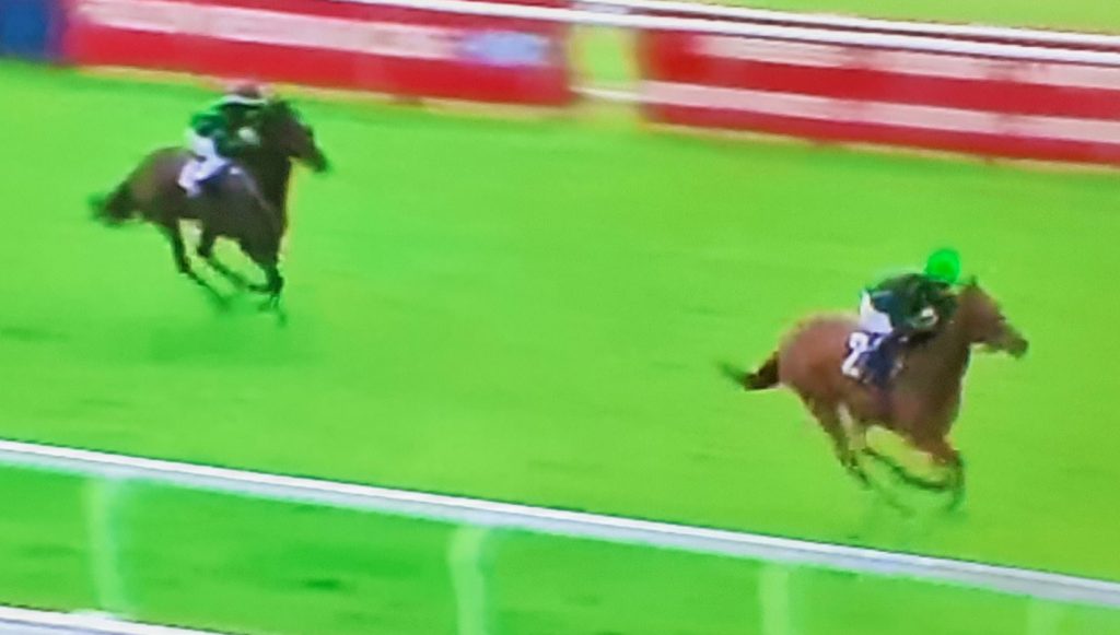 Bal Mal winning tip at Redcar.