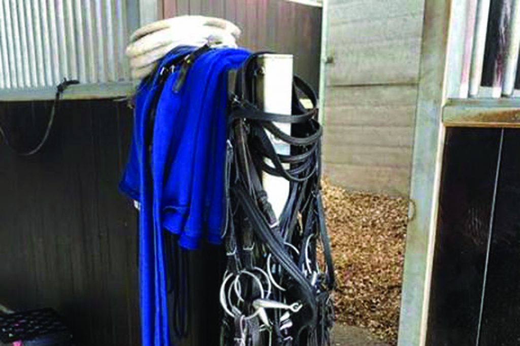 fromthehorsesmouth.info Newcastle 150-1 treble!