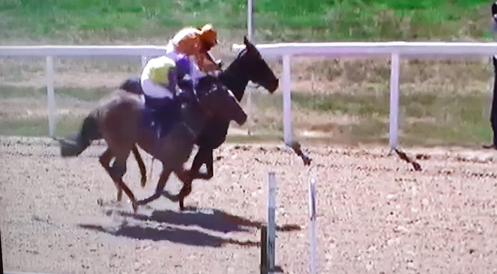 Zodiakos (orange cap) gets up to beat Al Ozzdi at Newcastle.