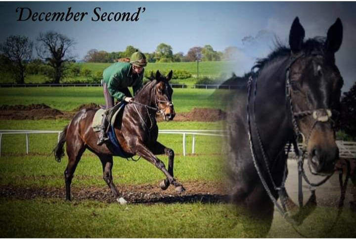 'Legend' December Second fatal accident at Newcastle