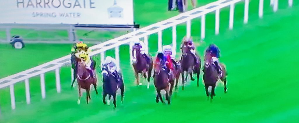 Queen-owned First Receiver (maroon) thwarted by Russian Emperor in Hampton Court Stakes.