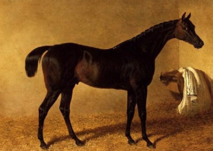 Dr Syntax began his career at Catterick Bridge