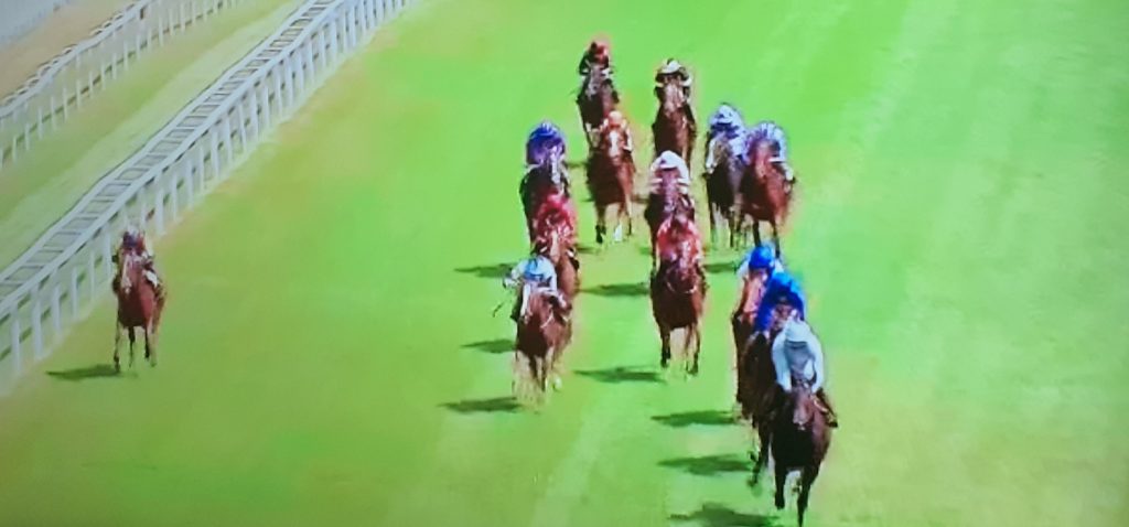 Fly Miss Helen - winning selection by fromthehorsesmouth.info completed 33-1 double.