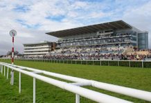 Political COVID-19 row in Doncaster over St Leger festival included in UK spectators pilot