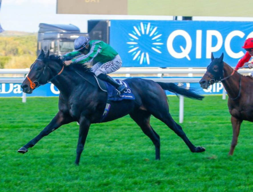 King Of Change: Ascot Champions Day QEII or Champion Stakes entry?.