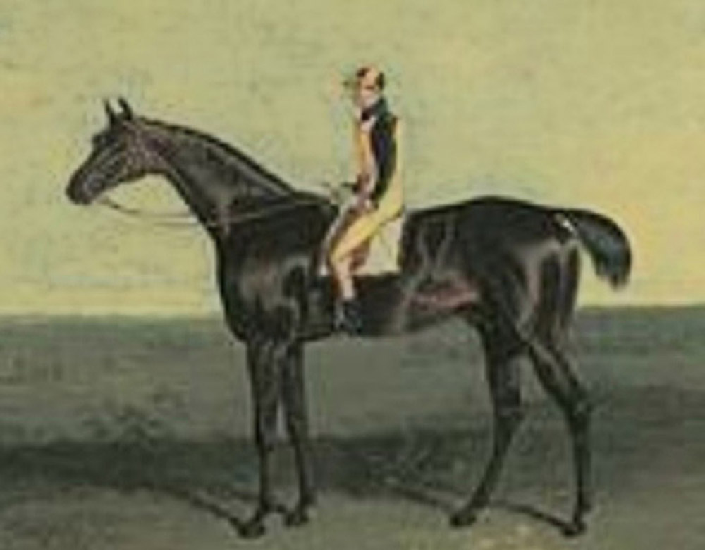 Doctor Syntax: euthanised August 1838.