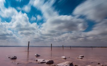 The Leader Newspaper Edition 830 Getting the pink back at Torrevieja Salinas