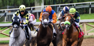 A Closer Look at the Kentucky Derby 2020: Top Contenders and Current Odds A Closer Look at the Kentucky Derby 2020: Top Contenders and Current Odds