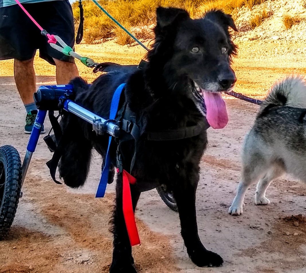 Ozzy 1 Aug 2020 Cruz Azul Work Goes On, Despite Restrictions