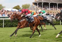Dream Of Dreams tilt at Haydock Betfair Sprint Cup