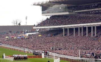 Finger pointed at Cheltenham by owners