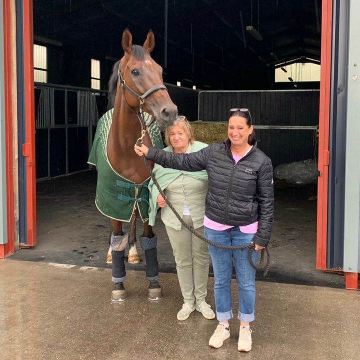 Dan Skelton trained Theatrebar retired, aged 12.