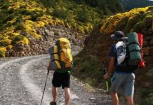 The Leader Newspaper Edition 831 The Leader Newspaper Edition 831