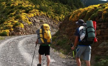 The Leader Newspaper Edition 831 The Leader Newspaper Edition 831