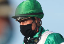 COVID-19 TO HIT CHELTENHAM FESTIVAL 2021 ATTENDANCE