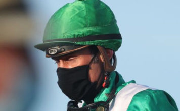 COVID-19 TO HIT CHELTENHAM FESTIVAL 2021 ATTENDANCE