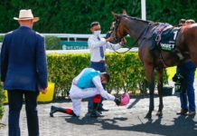 Tidal Racer completes fromthehorsesmouth.info 586,238 11-horse winning accumulator