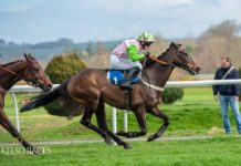 SLOW ROAD BACK FROM LOCKDOWN