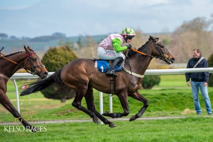 Always-Tipsy_last-run-over-a-year-ago.