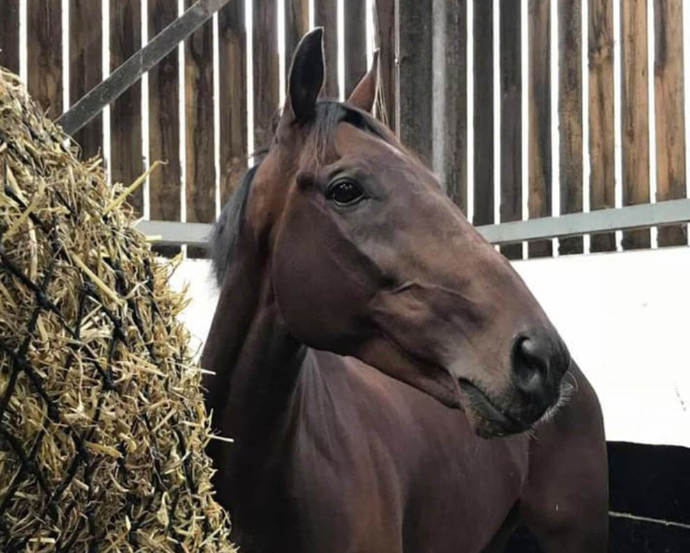 Resdev horses exit Kirby stables