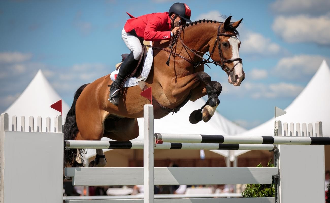 Man on horse jumping over steeplechase obstacle