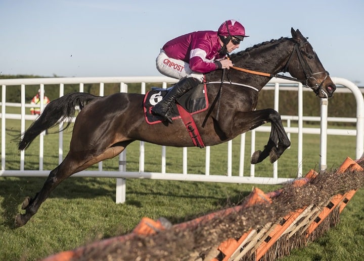 O'Leary sells Apple's Jade for €530,000 to trainer Elliott on behalf of Noel and Valerie Moran's Bective Stud - Vimarsana News