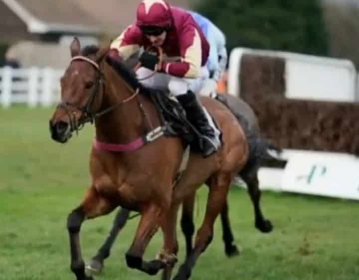The Two Amigos: fromthehorsesmouth.info ew tip 2nd in Coral Welsh Grand National.