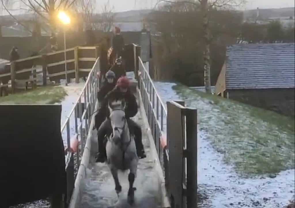 ning to the words 'cooling off'," quipped Nick.