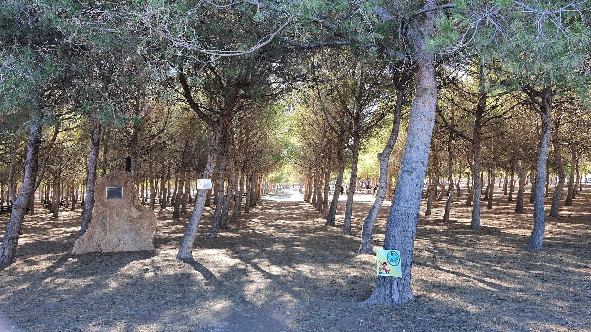 There are as I say many beautiful beaches, Moncayo being a favourite one of mine.