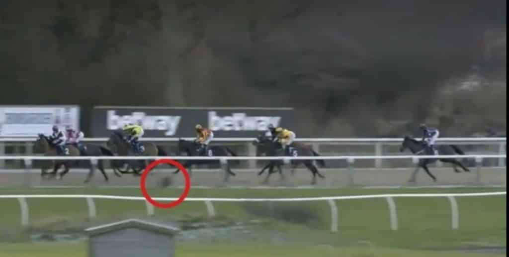 Alarm after deer runs onto track at Newcastle!