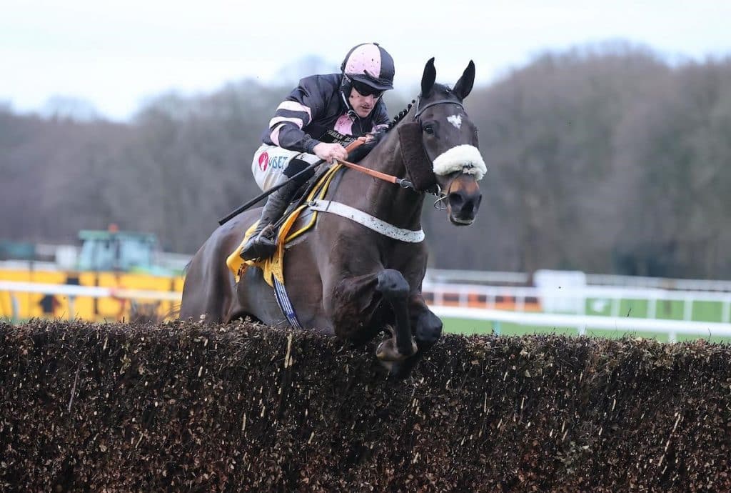 Sam's Adventure winning at Haydock