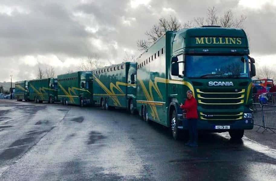 MULLINS ENTOURAGE ROLLS ON TO CHELTENHAM!