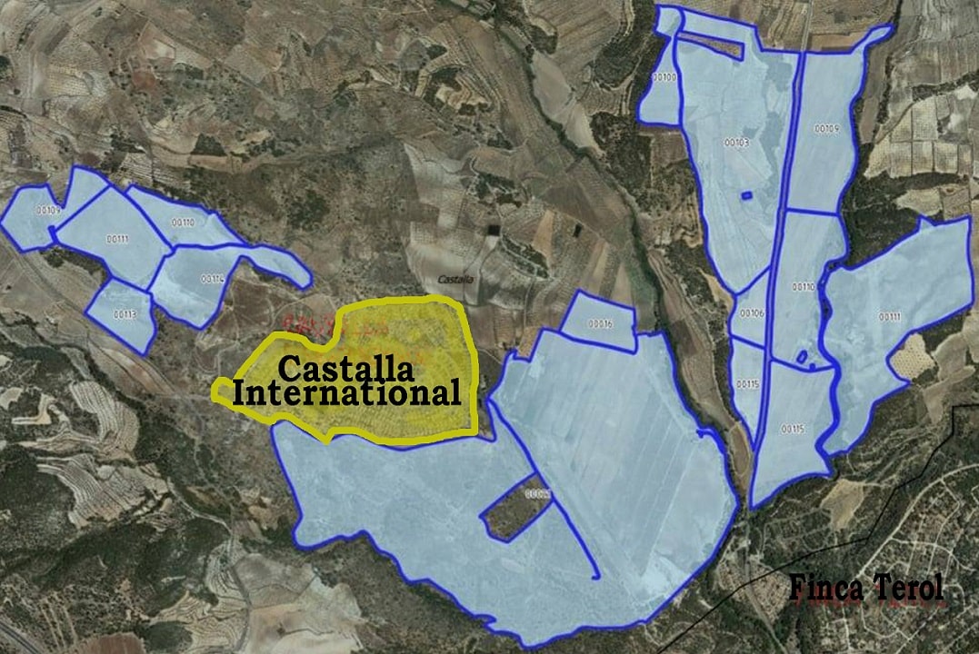 Solar Panel Farm set to devastate Castalla International