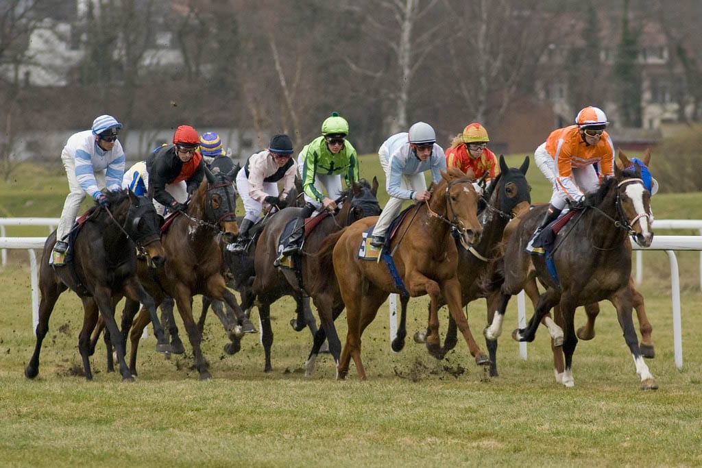 £3.124m fromthehorsesmouth.info 12-horse accumulator!