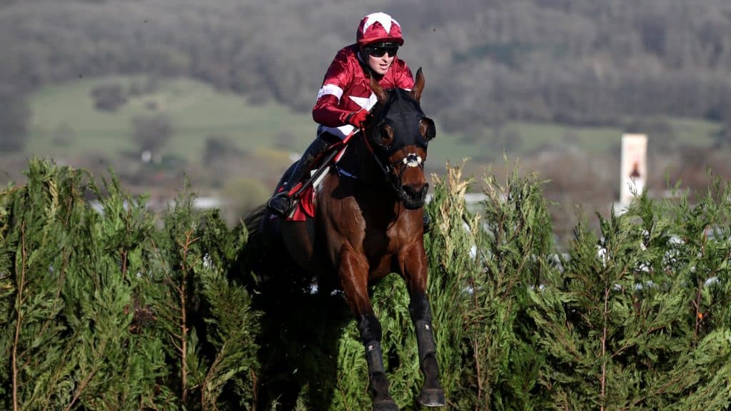 Tiger Roll - Photo courtesy Cheltenham Racecourse Twitter