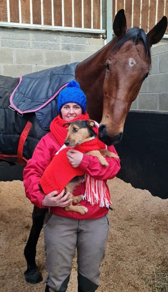 Heartbroken groom Seainin set to lead-up Envoi Allen at Cheltenham Festival