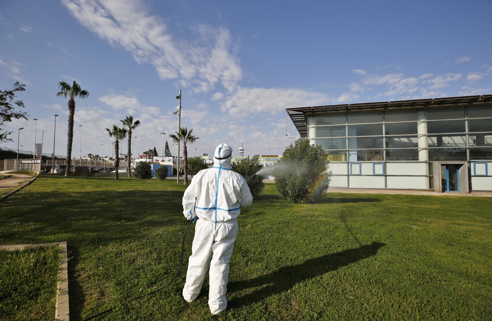 Torrevieja declare war on Mosquitoes!